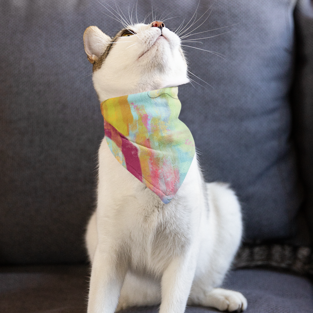 Colorful Walk- Multipurpose Bandana